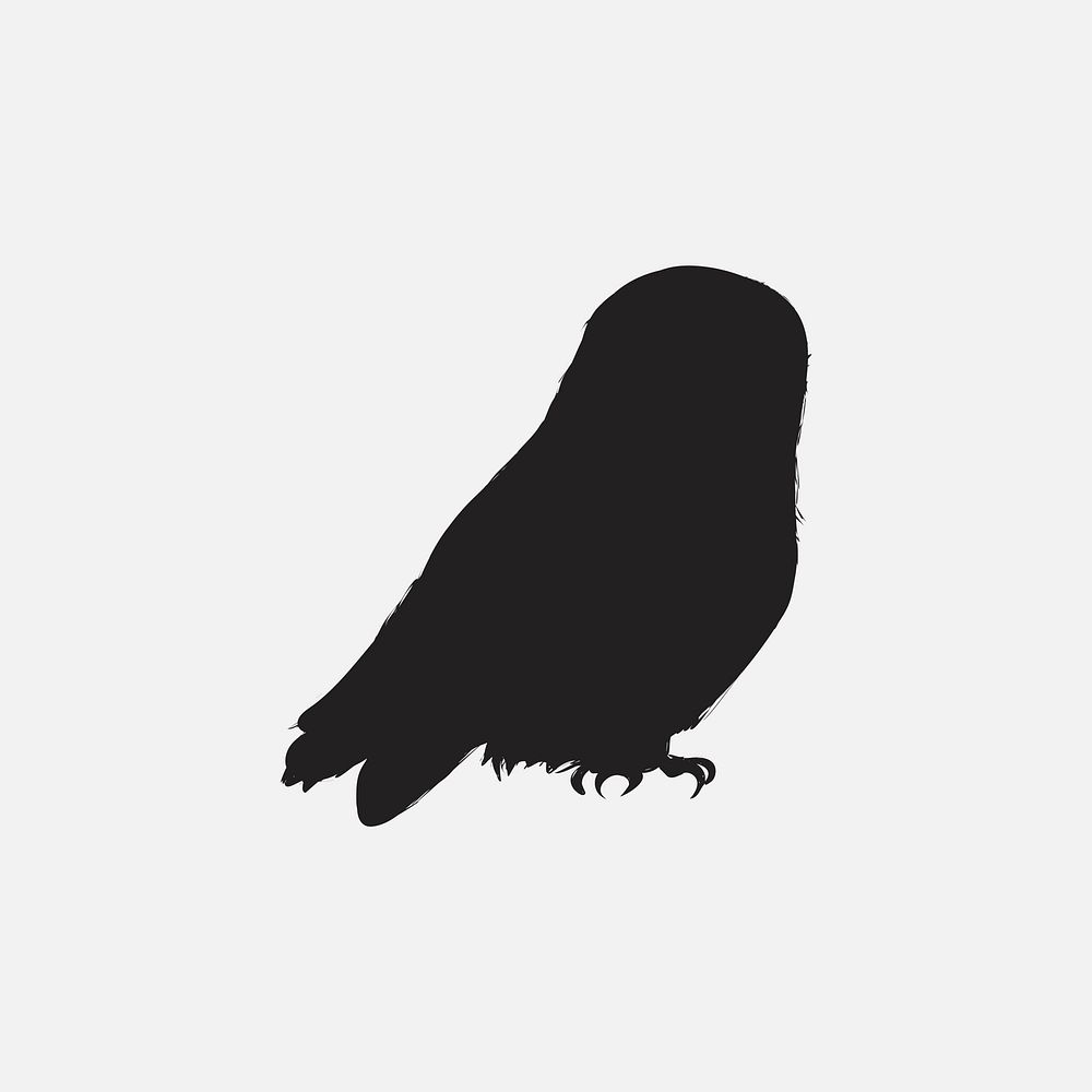 Illustration drawing style of owl