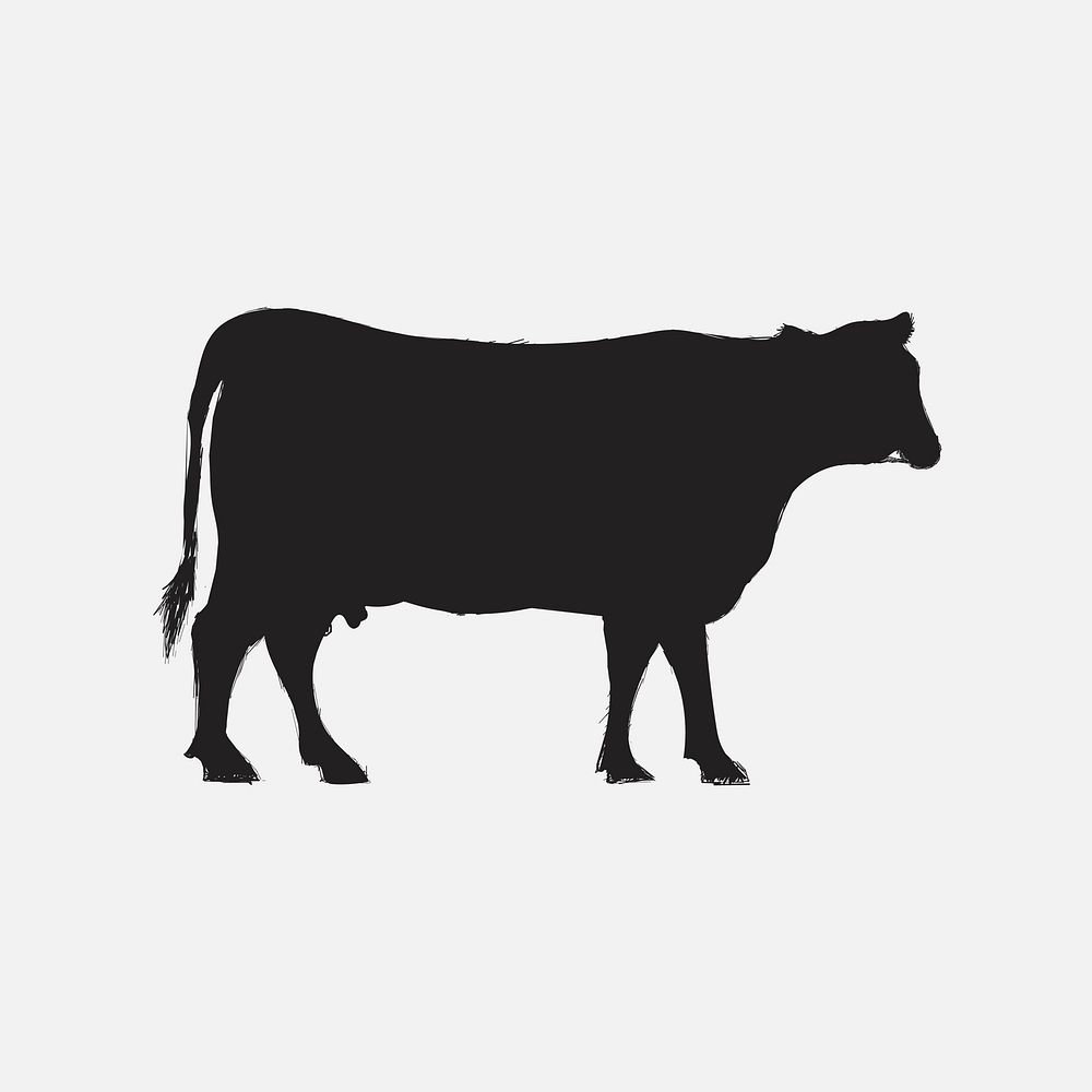 Illustration drawing style of cow