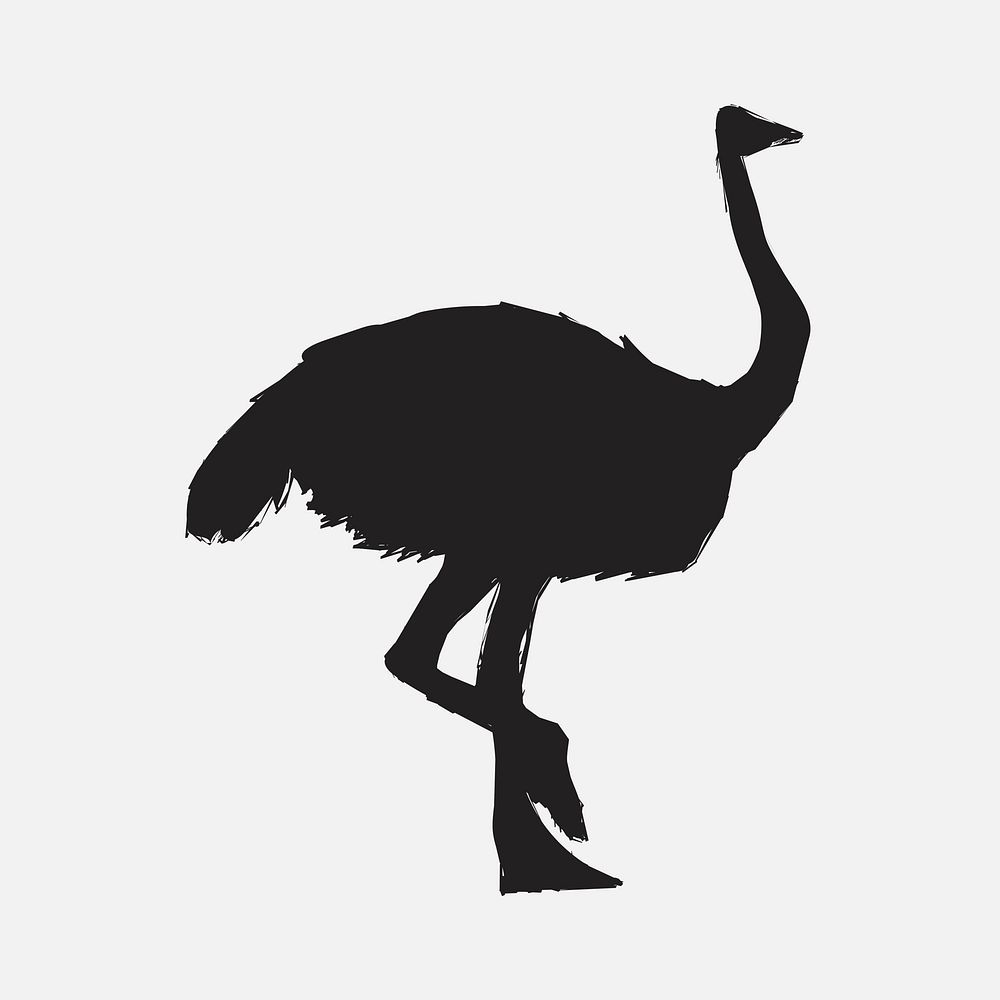 Illustration drawing style of ostrich