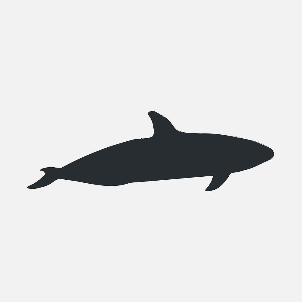 Illustration drawing style of melon-headed whale