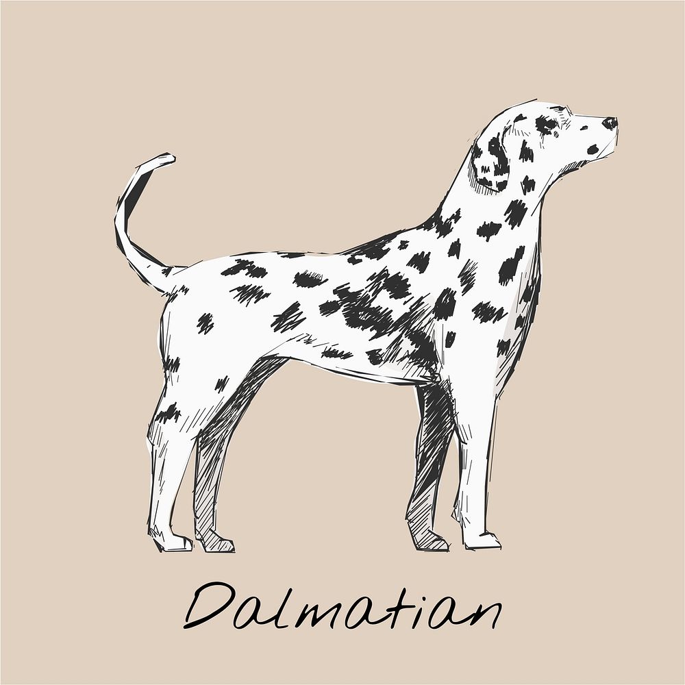 Animals Illustration Vector Art Set