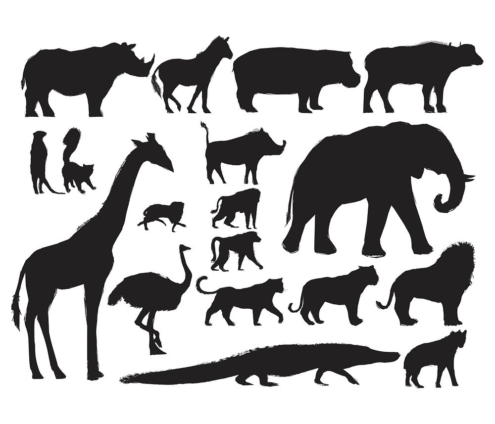 Animals Illustration Vector Art Set