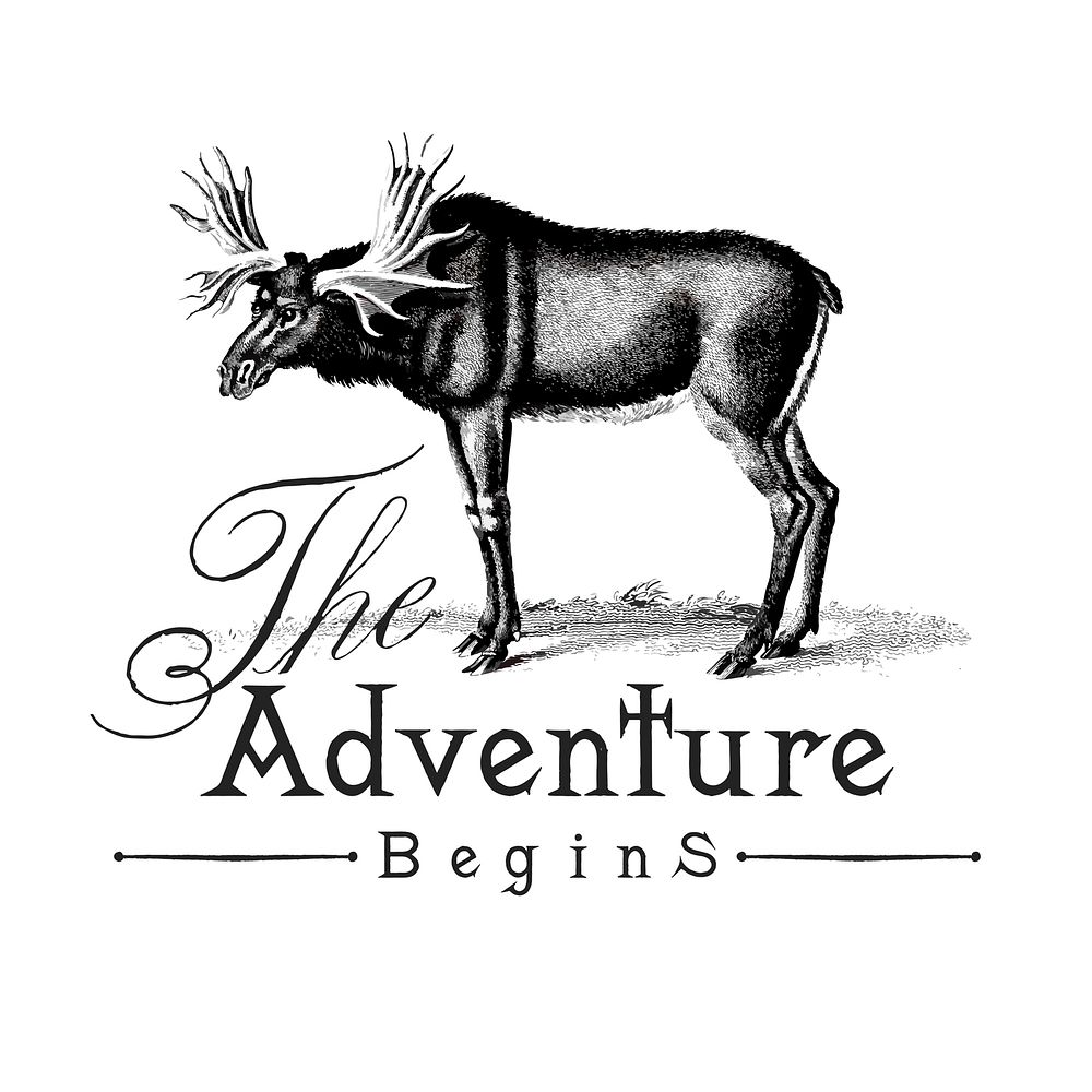 The adventure begins logo design vector