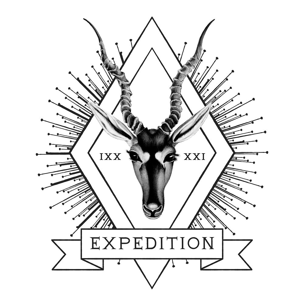 Expedition travel logo design vector