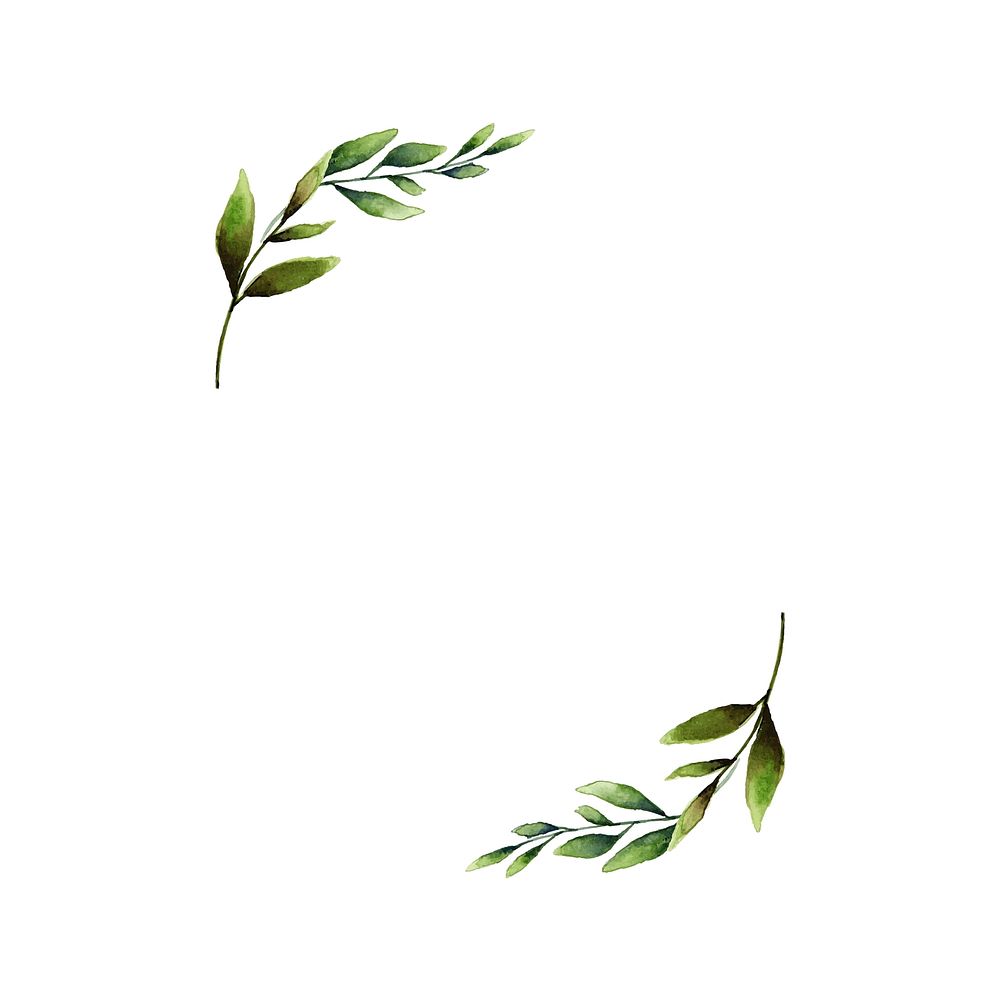 Hand-drawn olive branch frame watercolor style vector