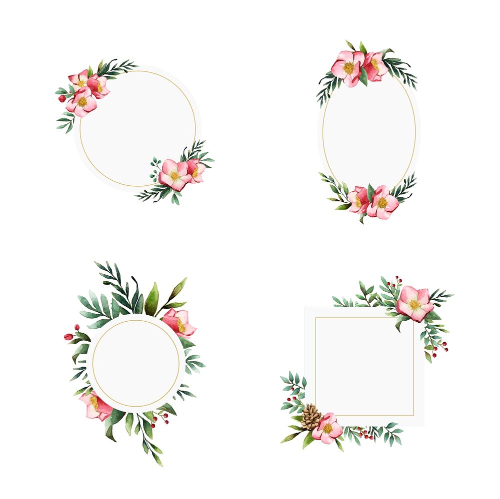 Set of Hellebore flower frames painted by watercolor vectors