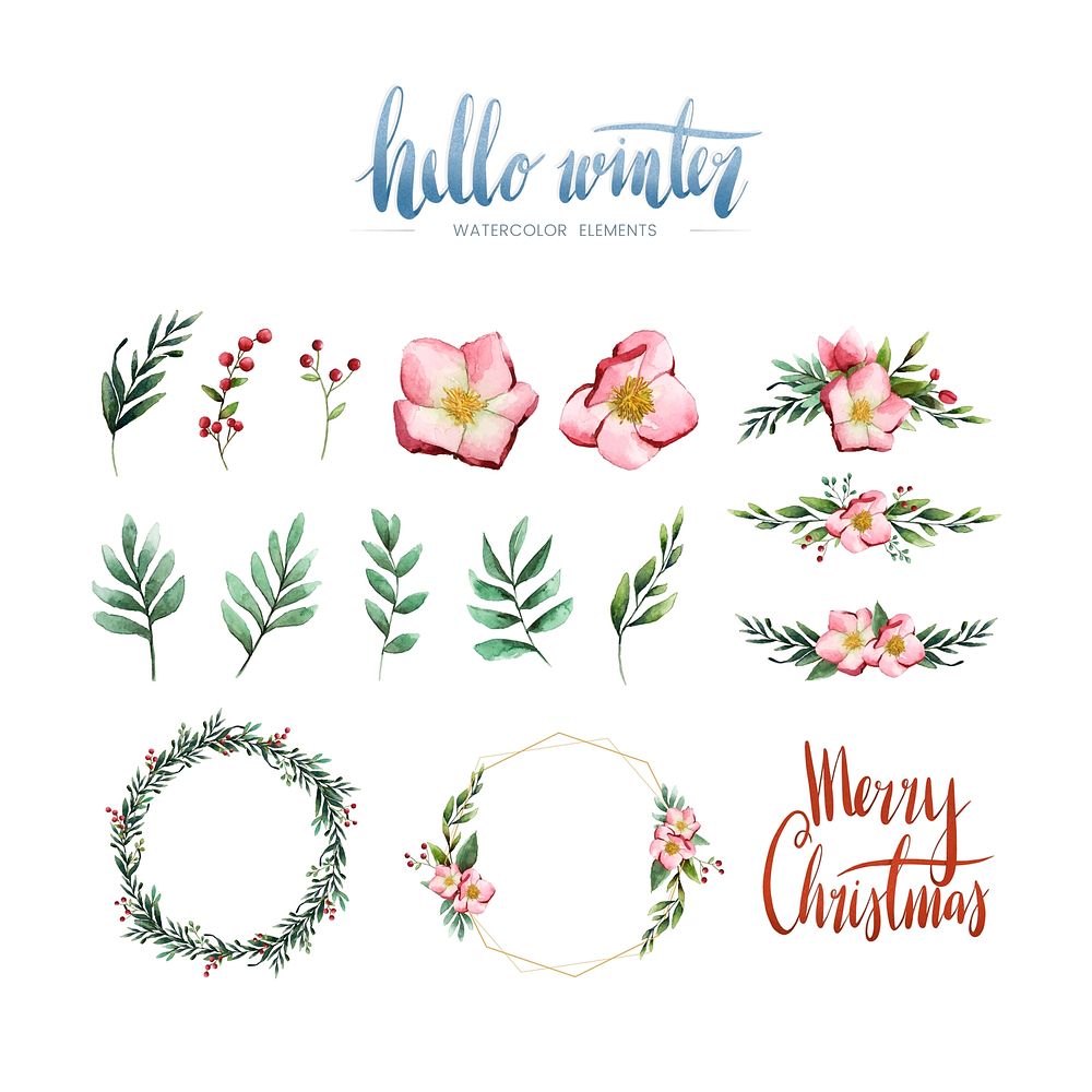 Watercolor winter bloom and elements vector