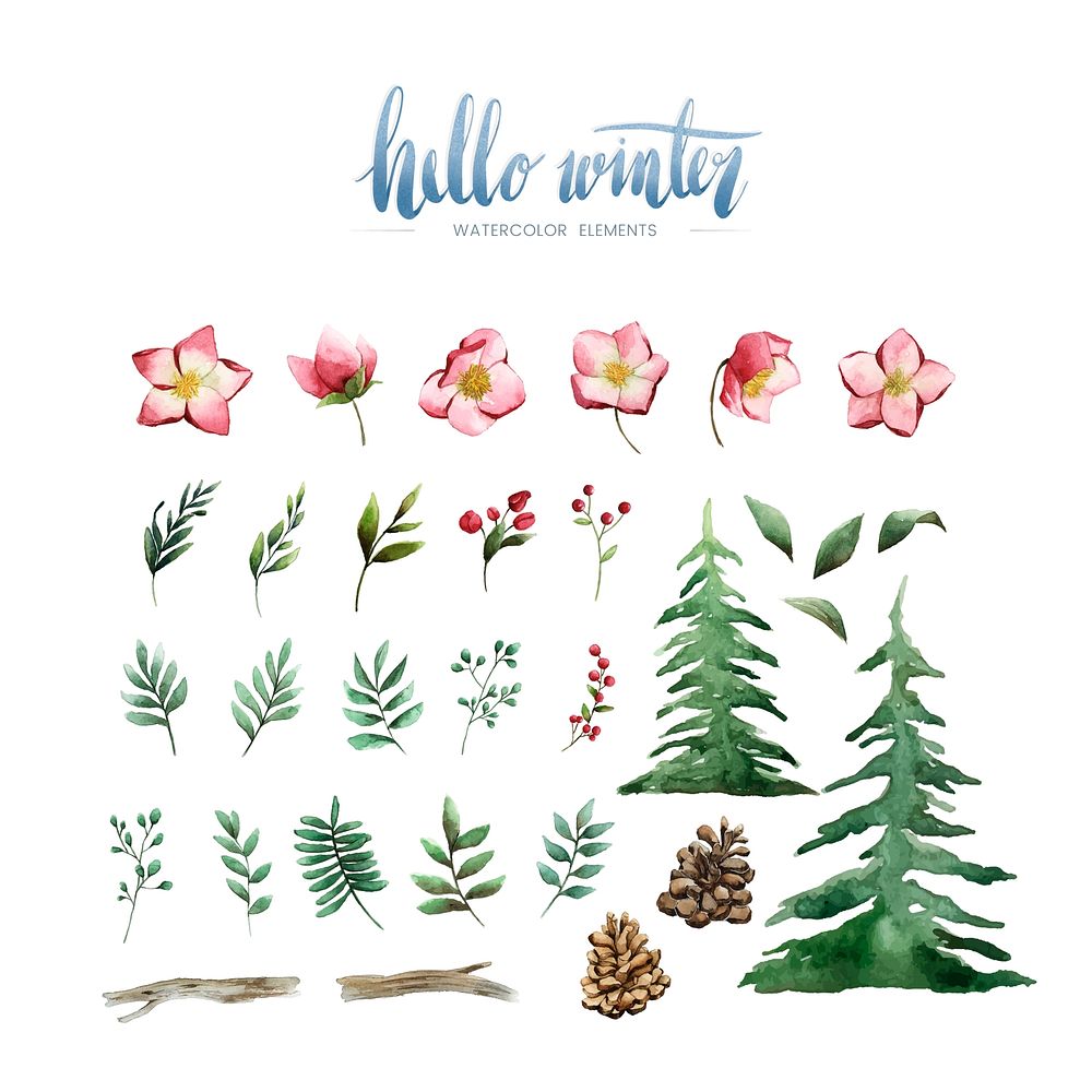 hello-winter-plants-and-flowers-free-vector-rawpixel