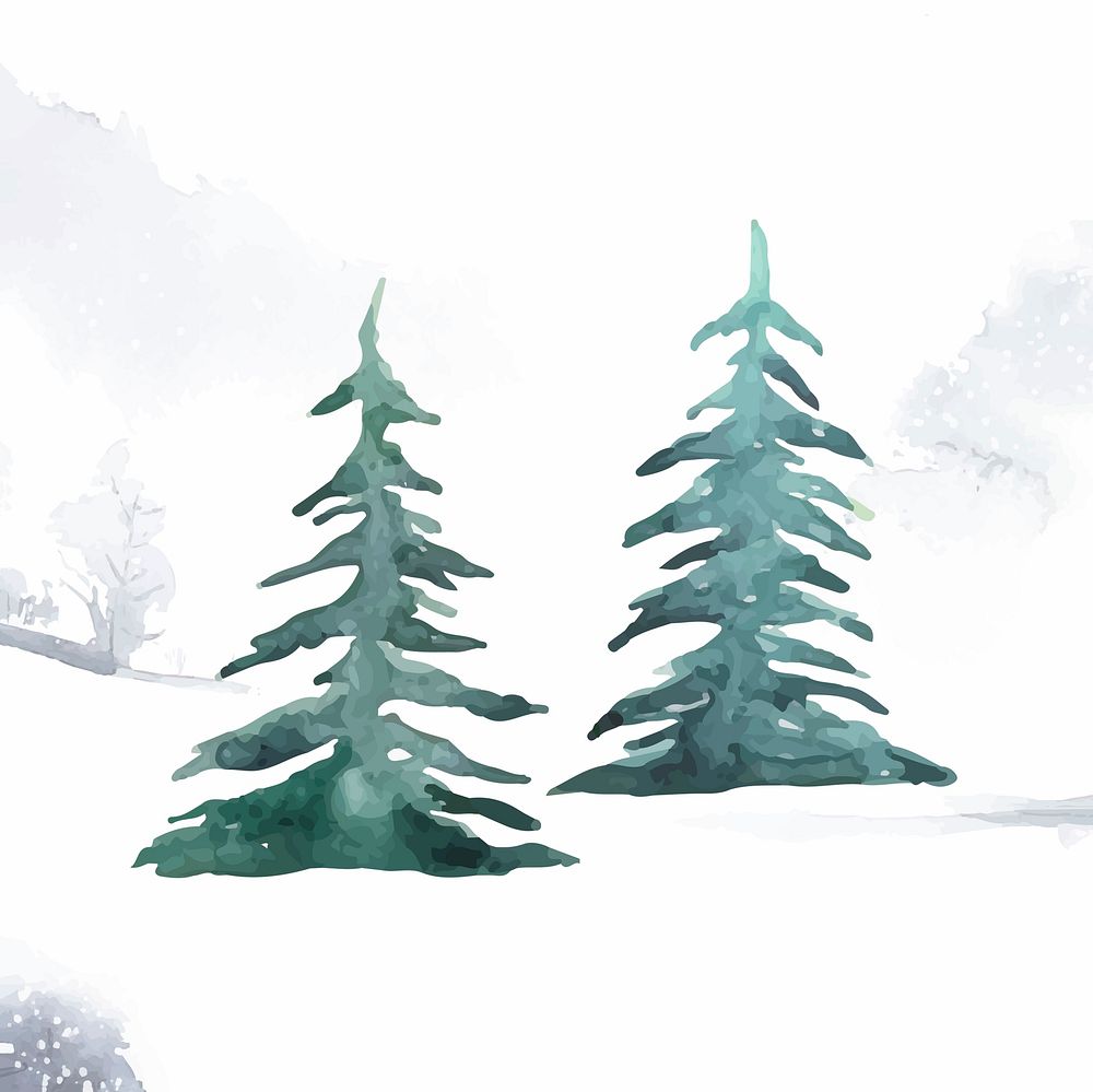 Pine trees painted by watercolor vector