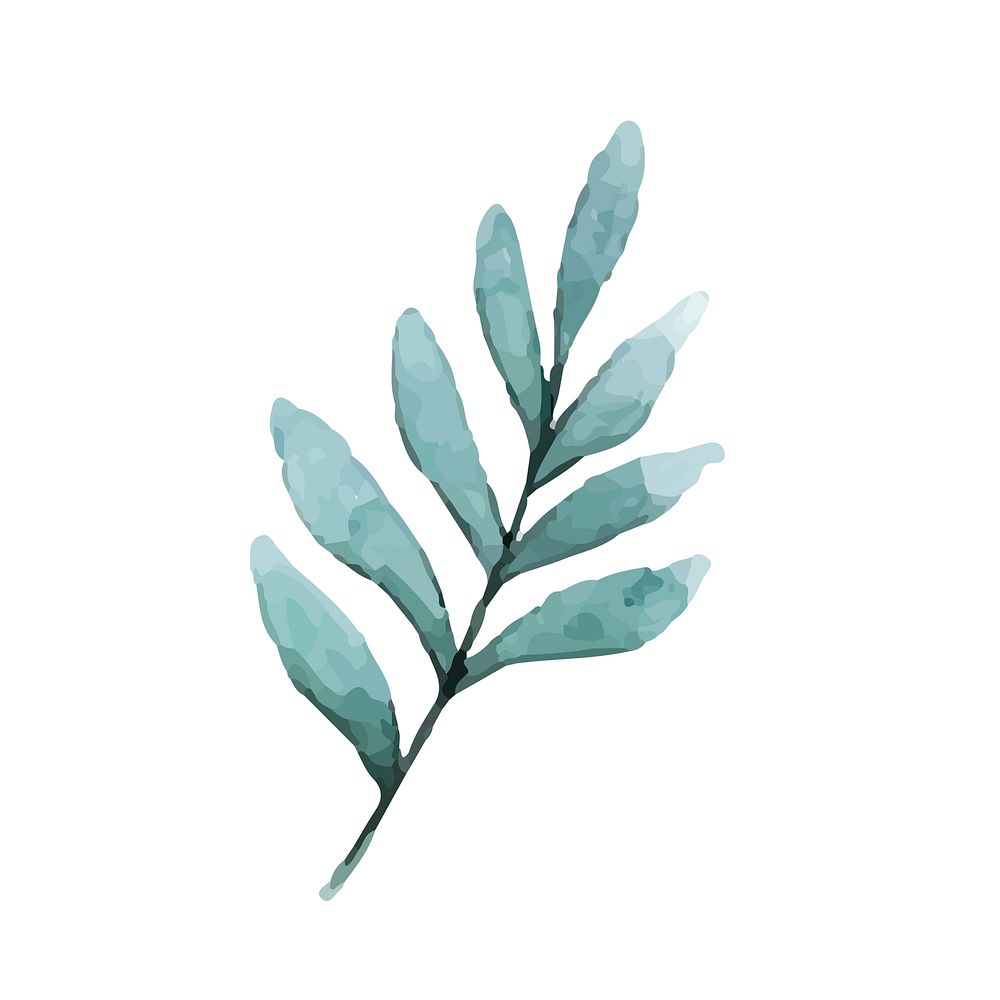 Seeded eucalyptus branch painted in watercolor | Free Vector - rawpixel