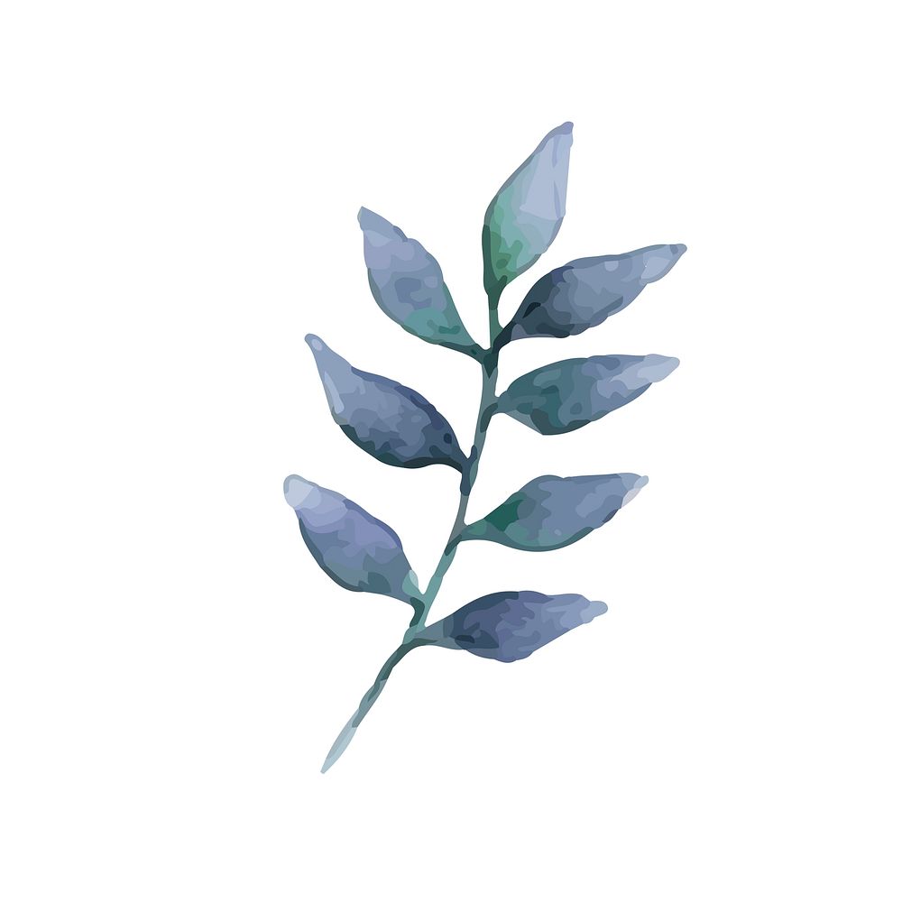 European ash leaf painted in watercolor | Free Vector - rawpixel