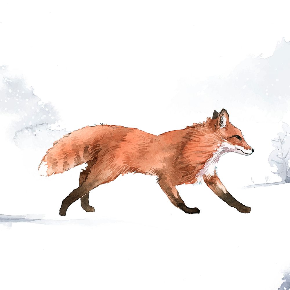 Hand-drawn fox in the snow watercolor style