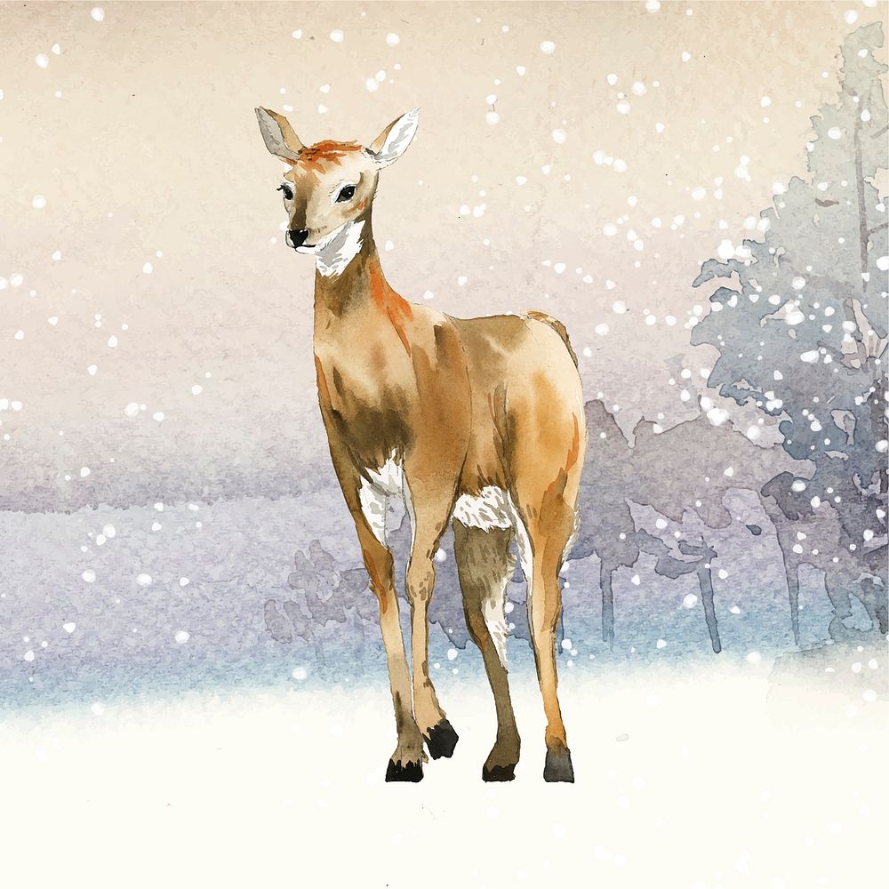 Female deer painted by watercolor vector