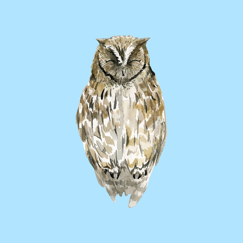 Hand-drawn owl watercolor style vector