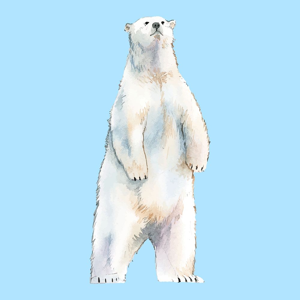 Polar bear watercolor style vector
