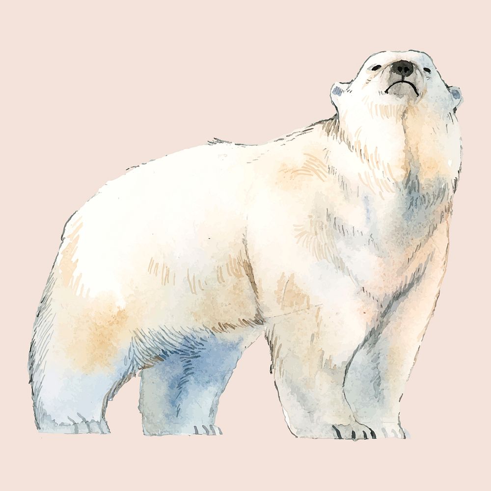 Polar bear watercolor style vector