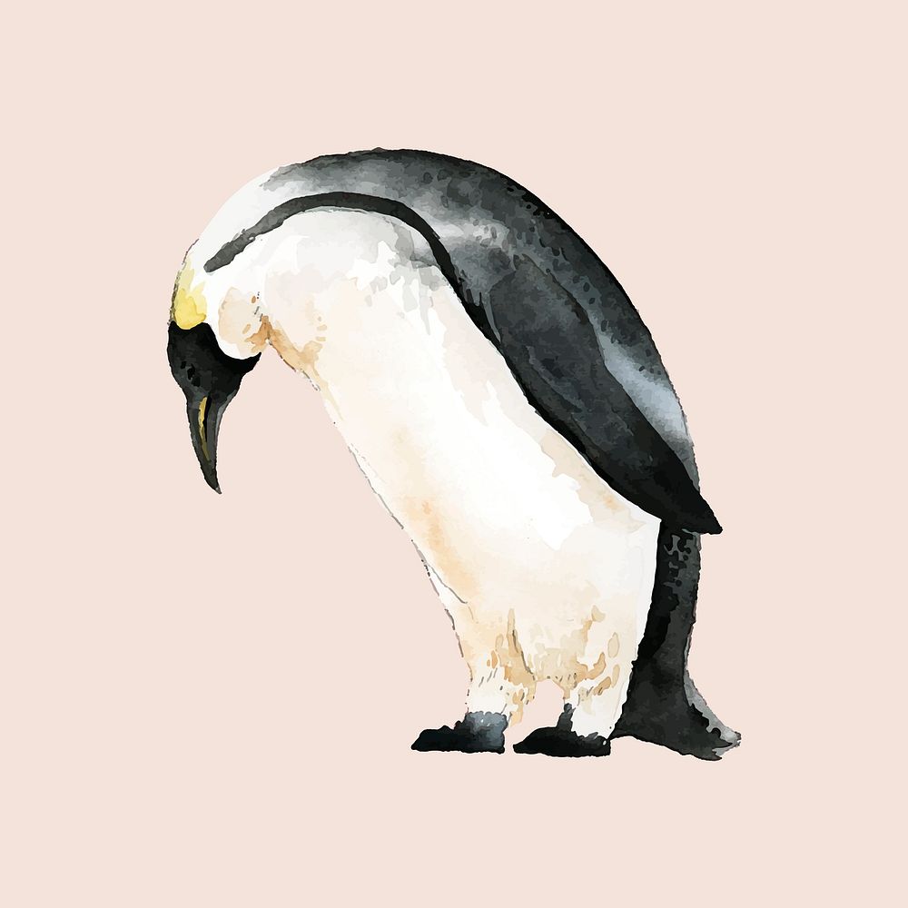 Hand-drawn mature emperor penguin watercolor style vector