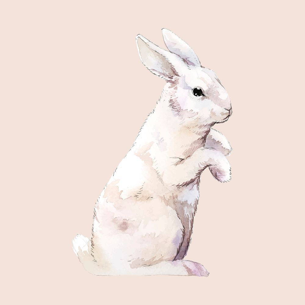 Wild white rabbit painted by watercolor vector