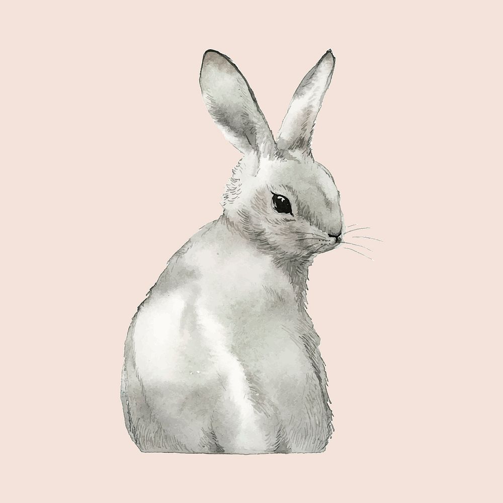Wild gray rabbit painted by watercolor vector