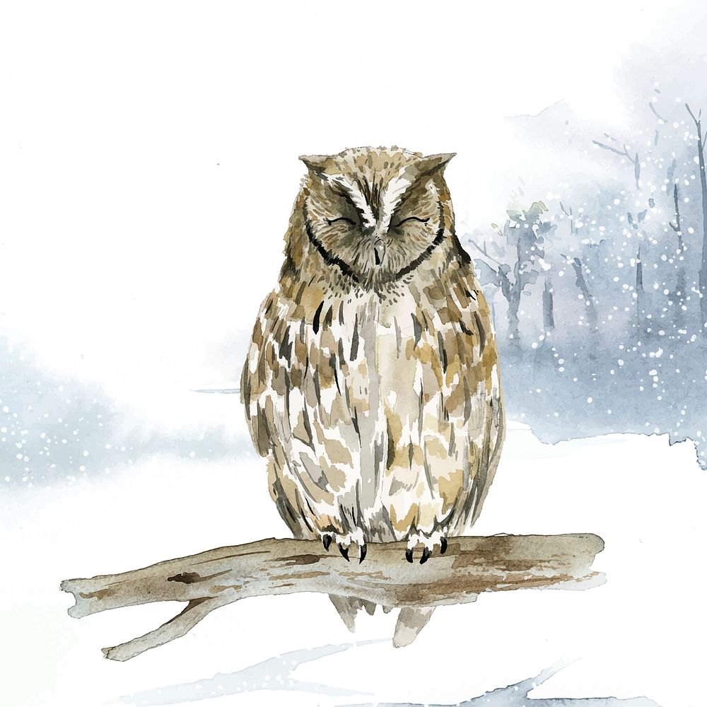 Owl in wintertime watercolor style vector