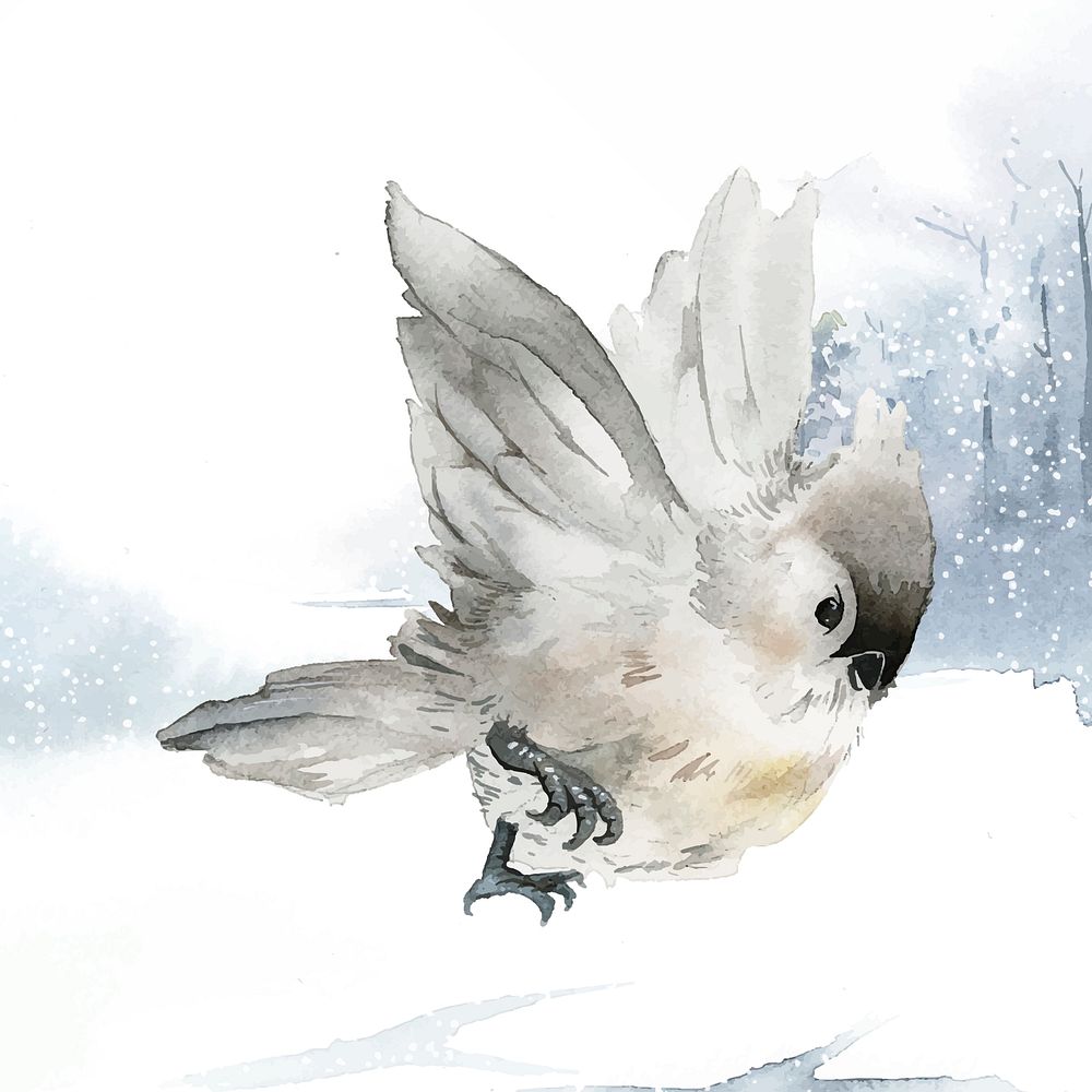 Tufted titmouse bird in wintertime watercolor vector