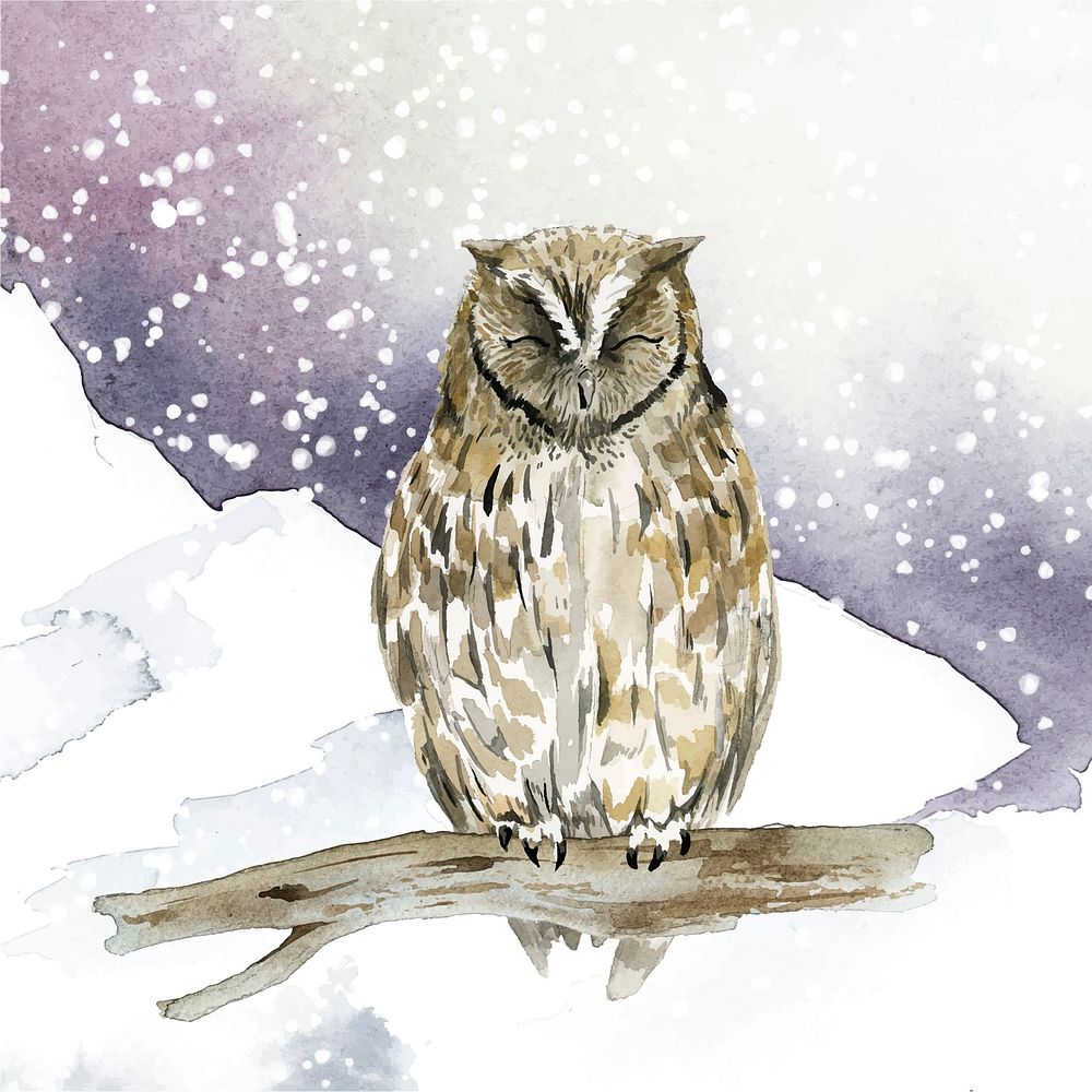 Owl in wintertime watercolor style vector