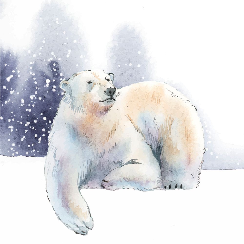 Hand-drawn polar bear in the snow | Free Vector Illustration - rawpixel