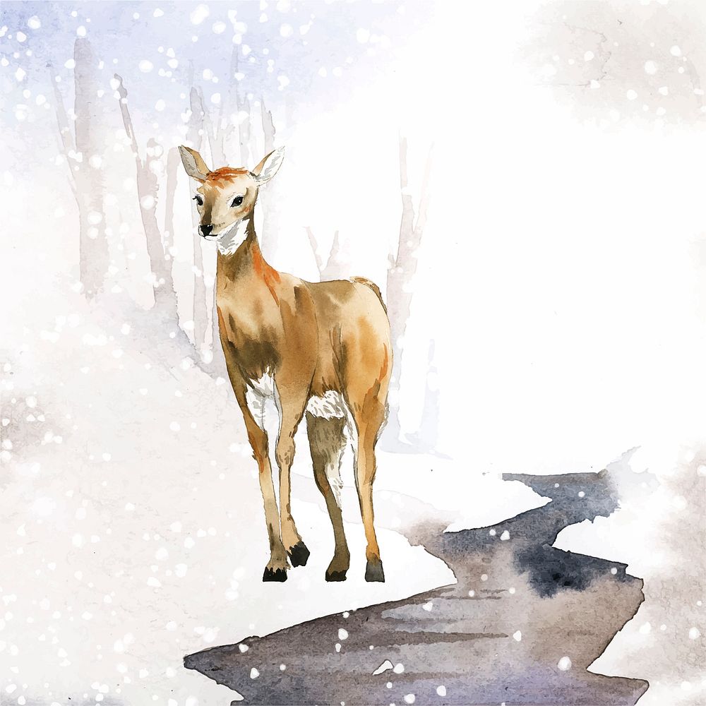 Female deer painted by watercolor vector