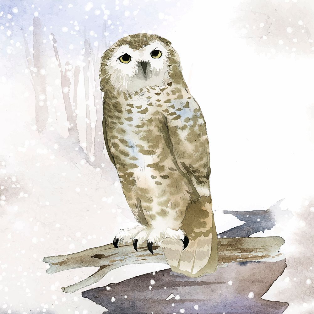 Snowy owl in winter watercolor style vector