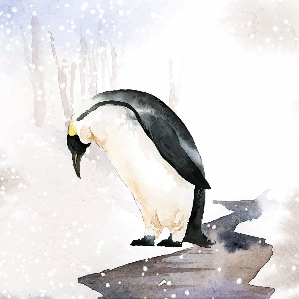 Emperor penguin in the snow watercolor vector
