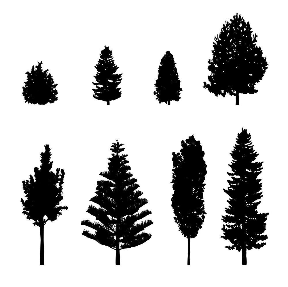 Collection of pine tree silhouettes vector