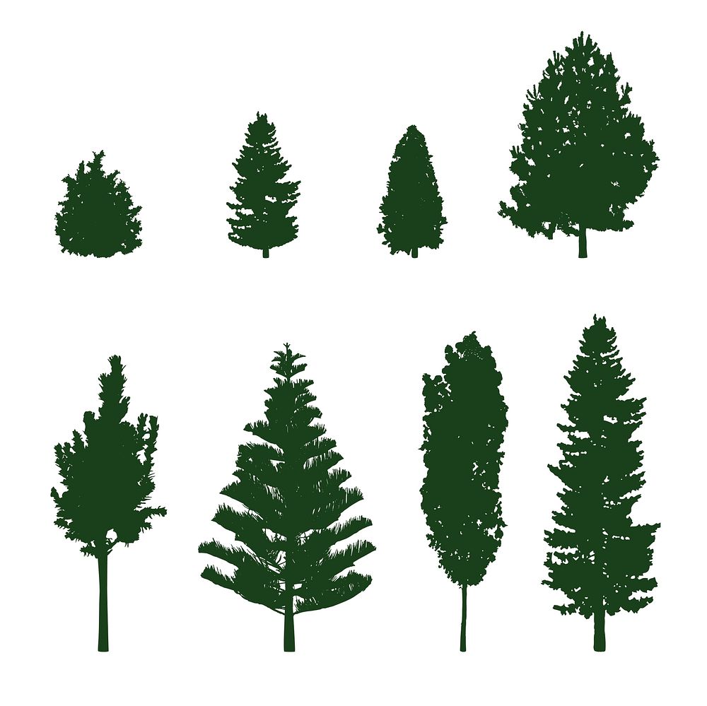 Collection of pine tree silhouettes vector