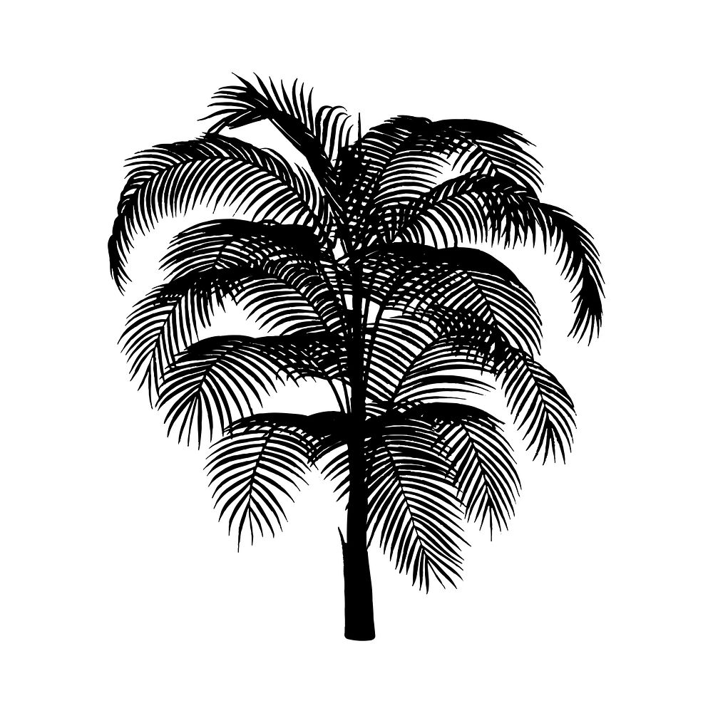 Palm tree silhouette on white background