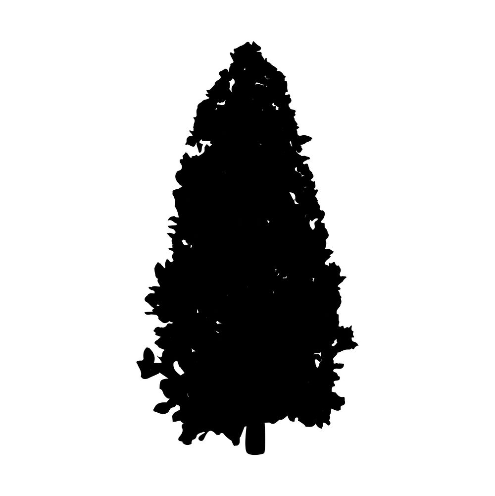 Aspen tree silhouette on white background