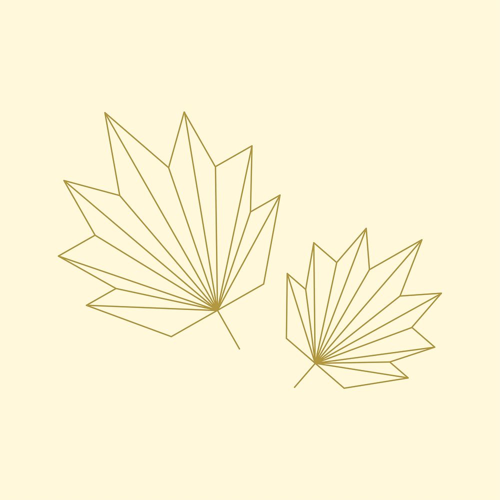 Linear illustration of a leaf