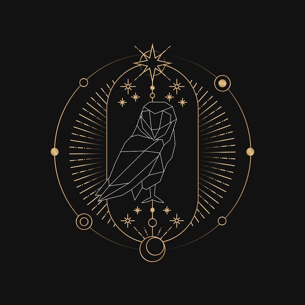 Geometric owl mystic symbol vector