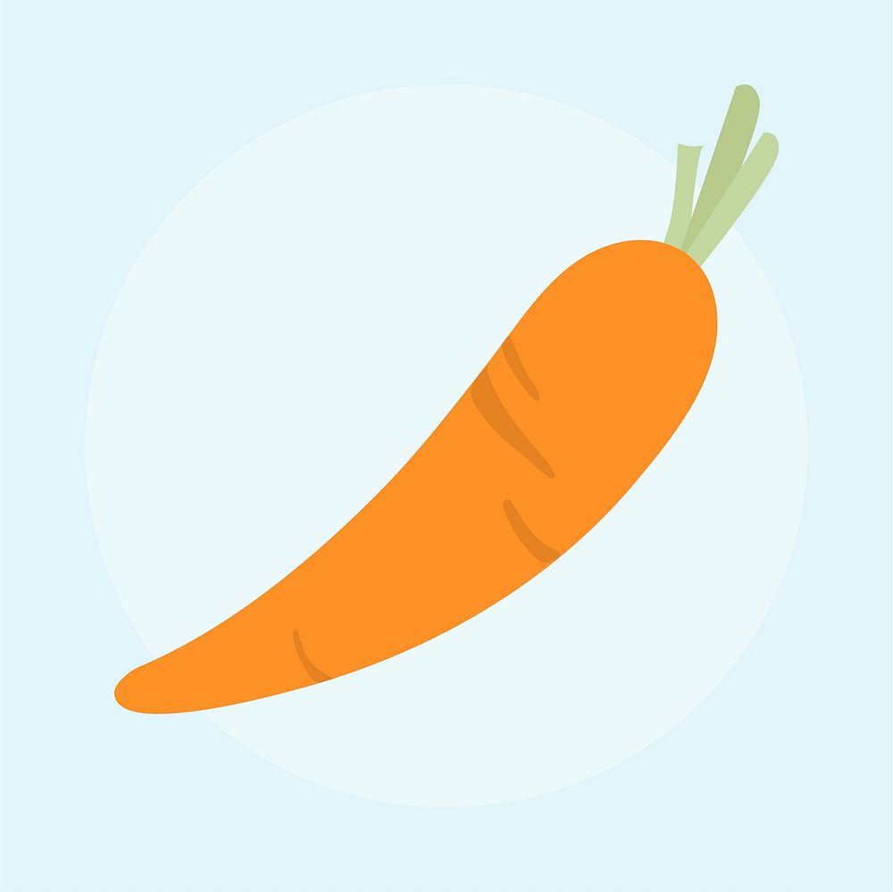 Illustration of fresh carrot