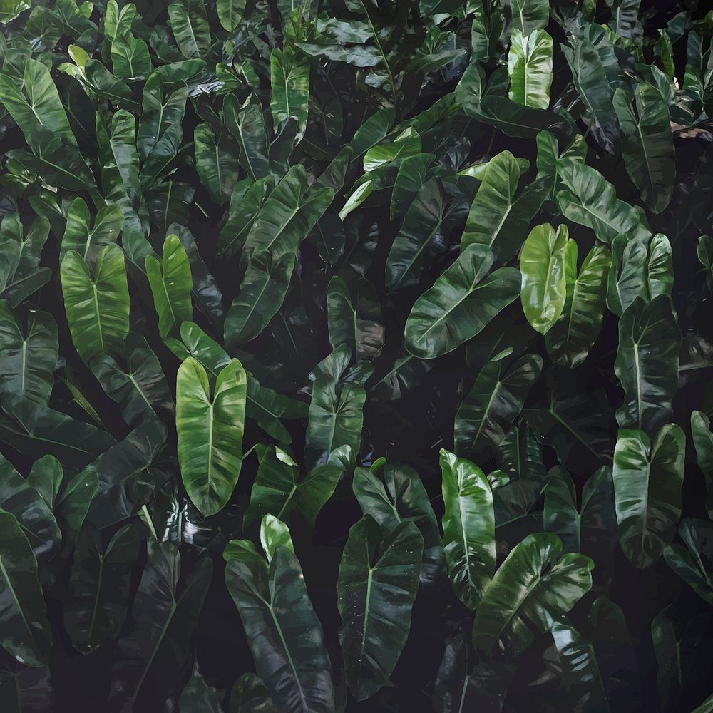 Closeup of green leaf background