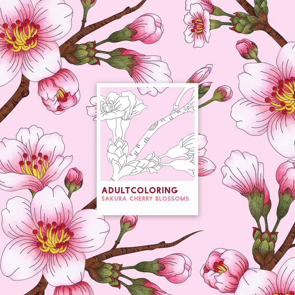 Sakura cherry blossoms adult coloring page