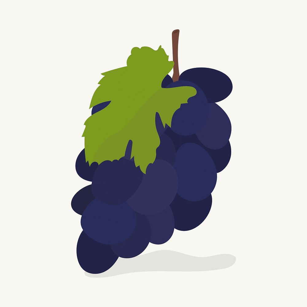 Hand drawn grapes fruit illustration