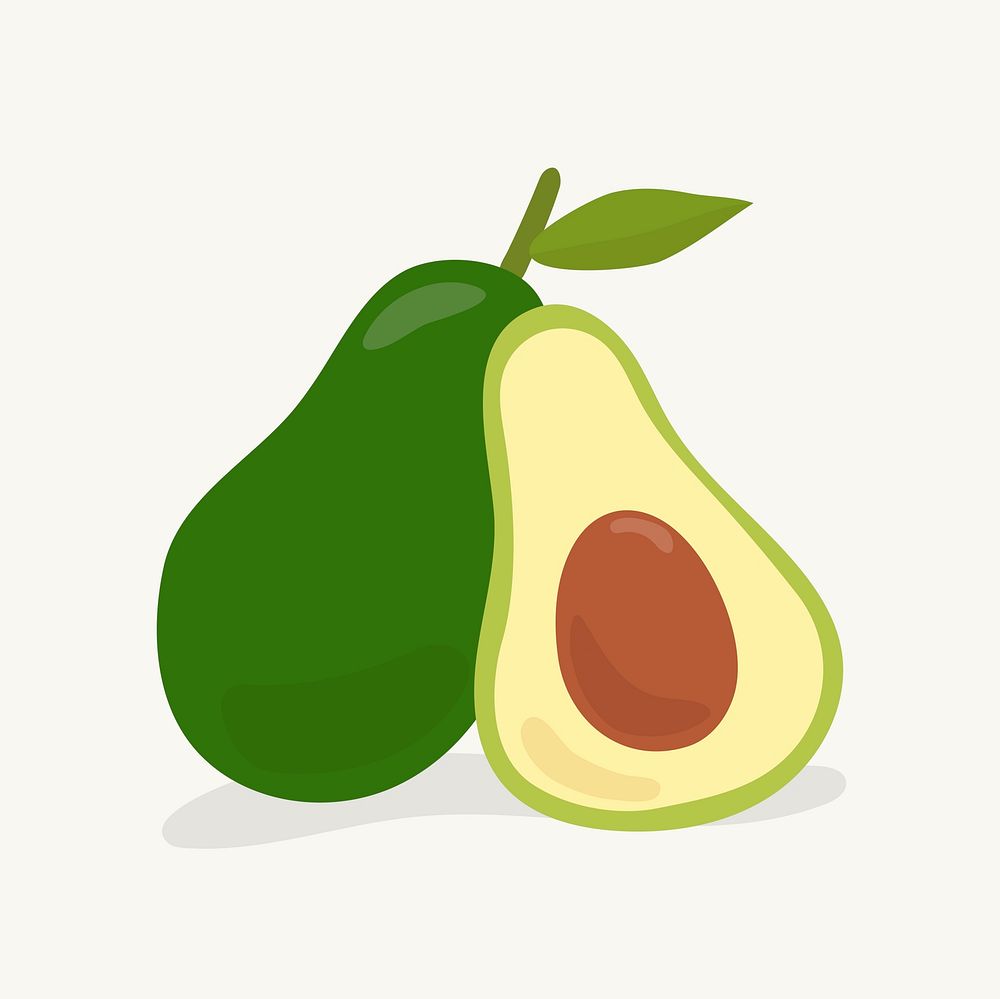 Hand drawn avocado fruit illustration