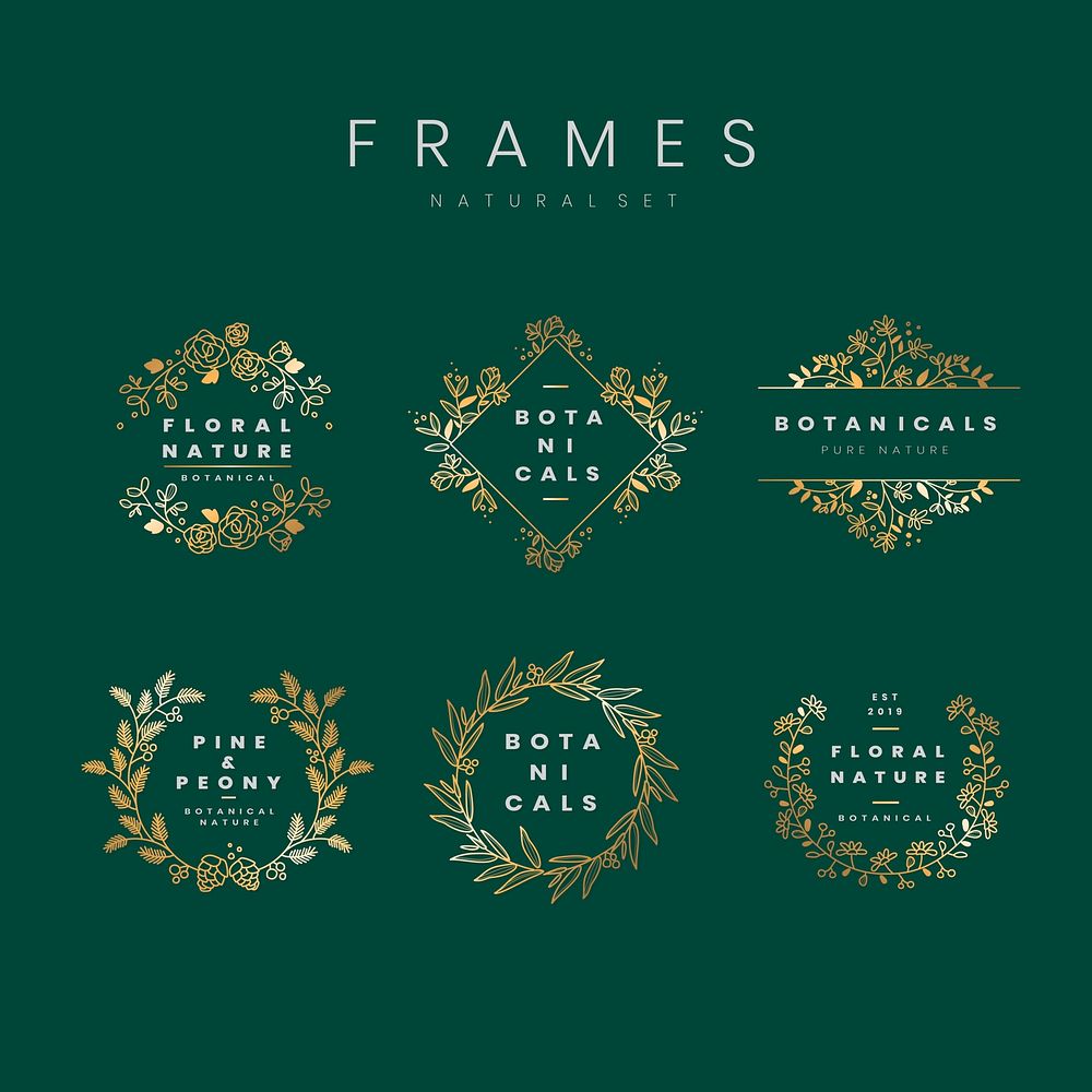 Set of floral botanical frame vectors
