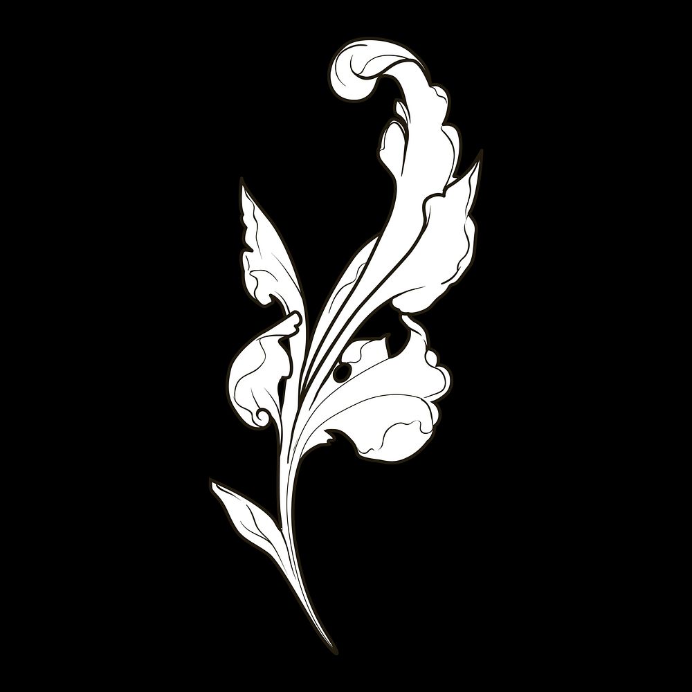 White Baroque floral elements vector