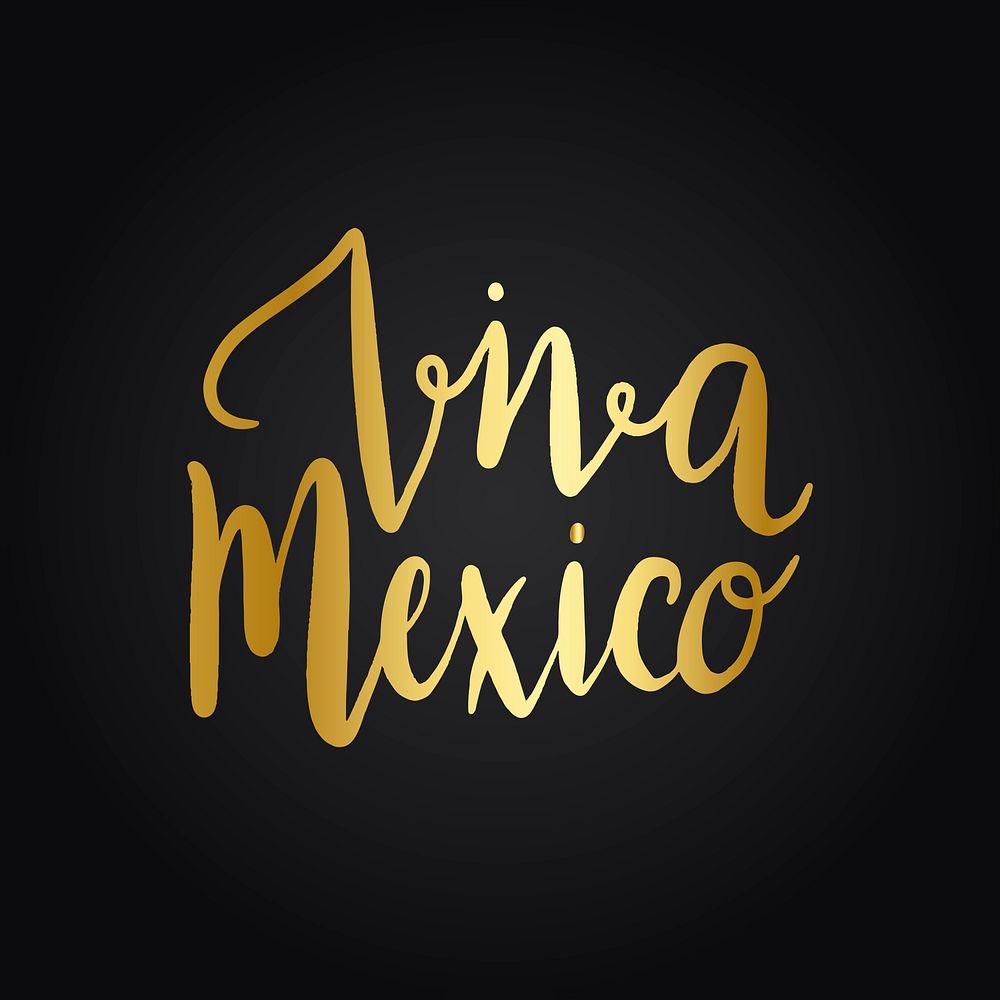 Viva Mexico typography style vector