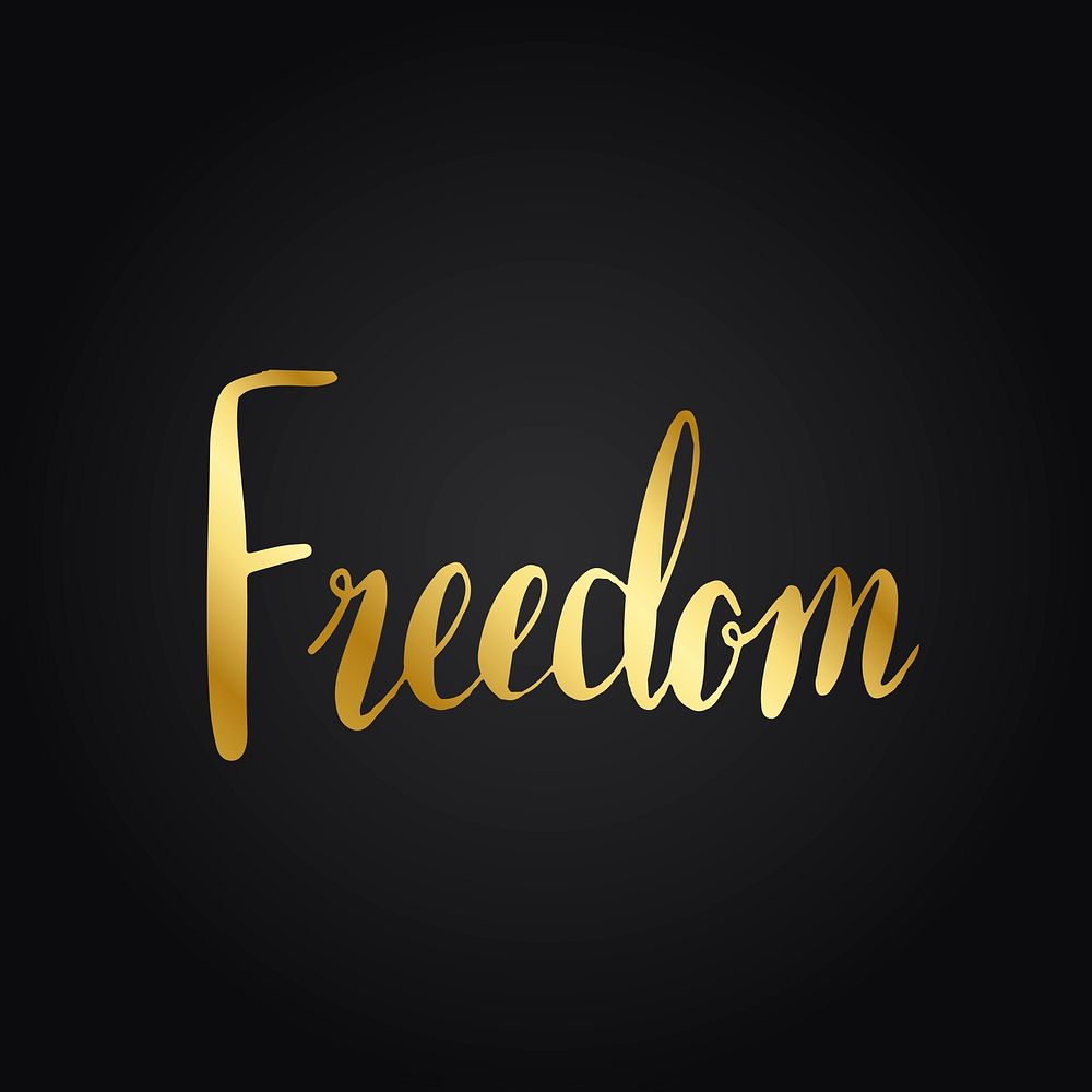 Freedom word typography style vector