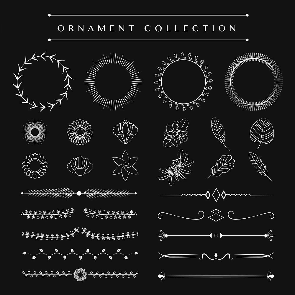 Ornaments collection vector design concept