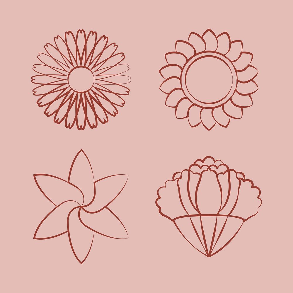 Set of blooming flower drawing design vector