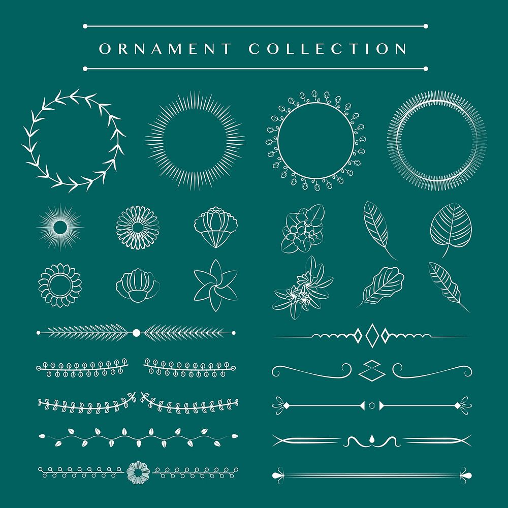 Ornaments collection vector design concept