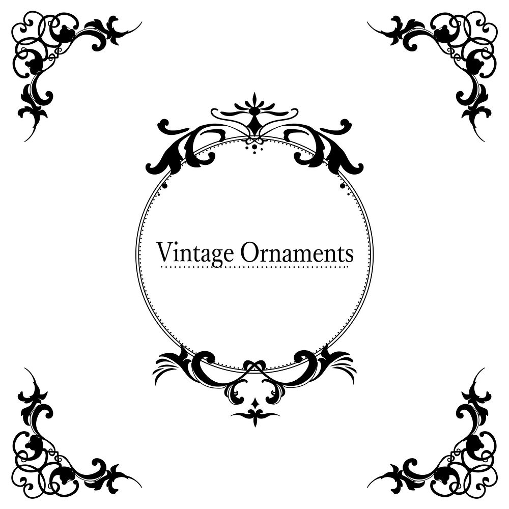 Vintage flourish ornament frame vector