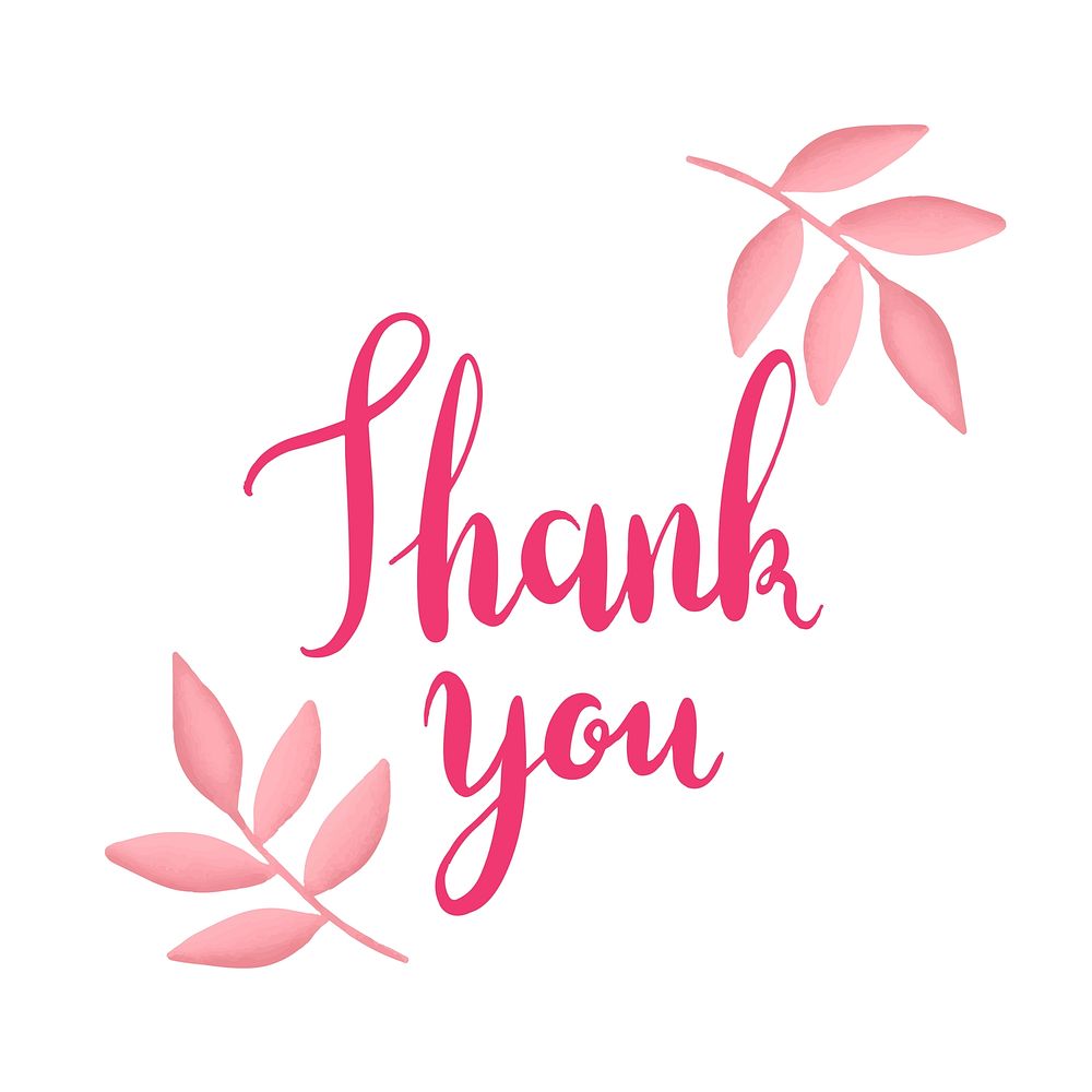 Pink thank you typography vector